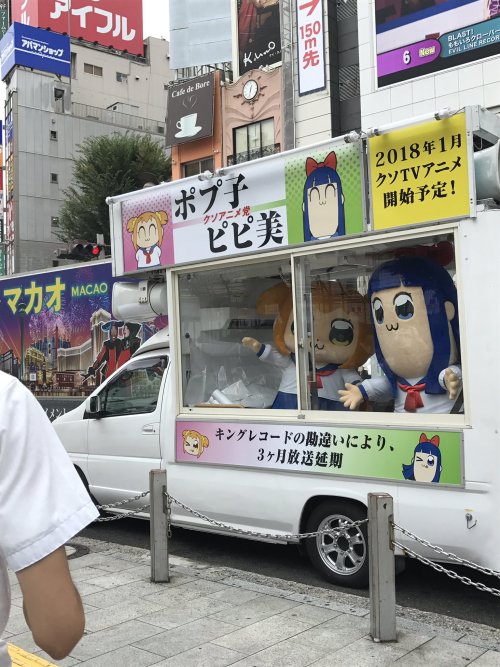 beardogs - scotchtapeofficial - the sign says “Popoko and Pipimi...
