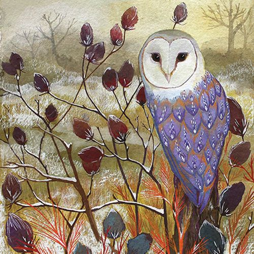 thewoodbetween - Barn Owl by Melissa Launay
