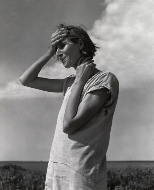 semioticapocalypse - Dorothea Lange. Woman of the High Plains,...