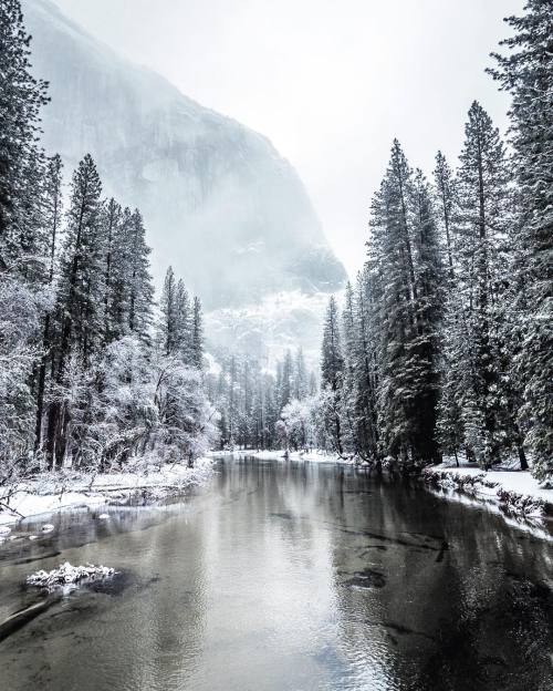 quiet-nymph:Photography by Ryan Resatka...