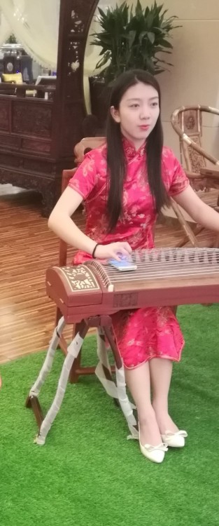 northsu - laowangxiee - 分享一个师范大学弹古筝的妹子喜欢就关注我哦~    .. >_< .....