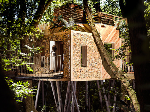 thedesigndome:Luxury Treehouse Hosts Modern Facilities Designed...