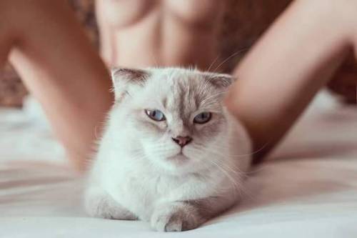 yellowsweethoney - sgleak - Model with her catMeow meow...