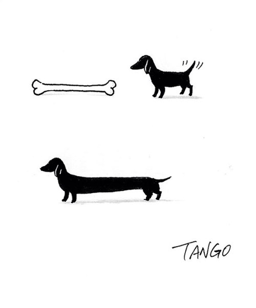 beben-eleben - Simple But Clever Animal Comics By Shanghai Tango