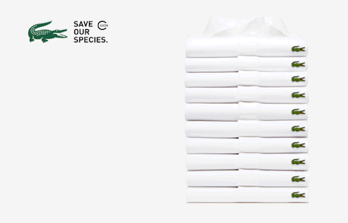 fabforgottennobility:Save Our Species | Lacoste