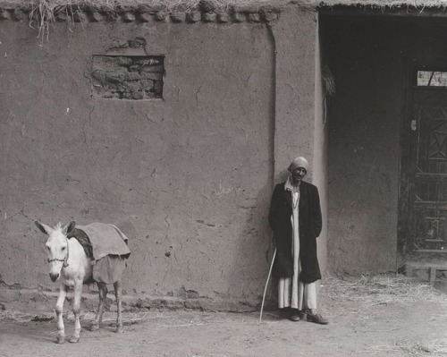 zzzze - PAUL STRAND (1890 - 1976)Hag Khail, Delta, Egypt,...