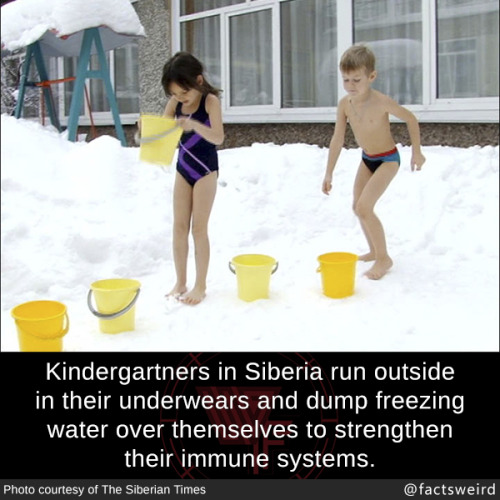 mindblowingfactz - Kindergartners in Siberia run outside in...