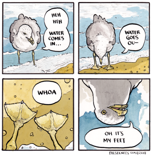 falseknees:Really glad we checked in on you, seagull.