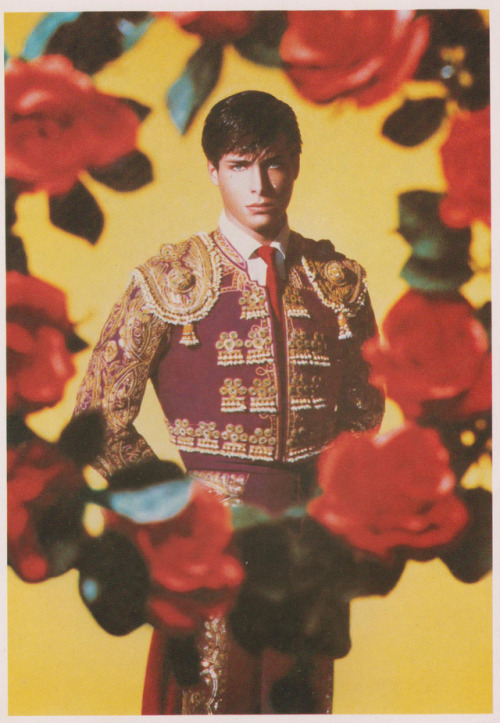 diabeticlesbian:Pierre et Gilles - select works as featured in...