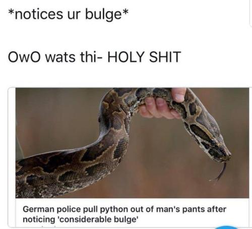 bizarrolord - melonmemes - Rawr xdIs that a snake in your pants...