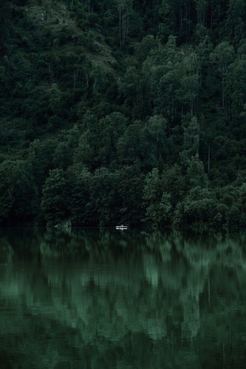 expressions-of-nature - Villach, Austria by Elif Koyuturk