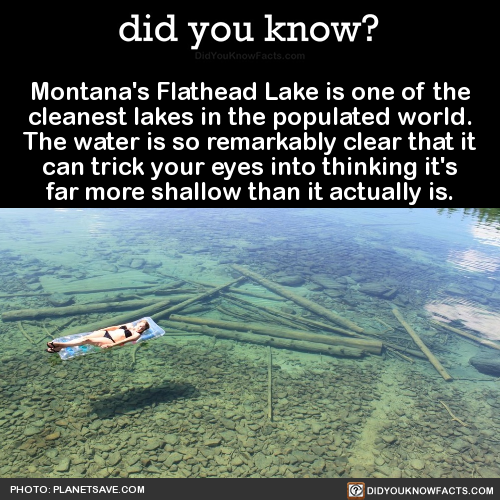 did-you-kno-montanas-flathead-lake-is-one-of