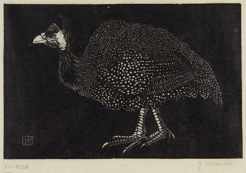 geritsel:Jan Mankes - Birds, woodcuts