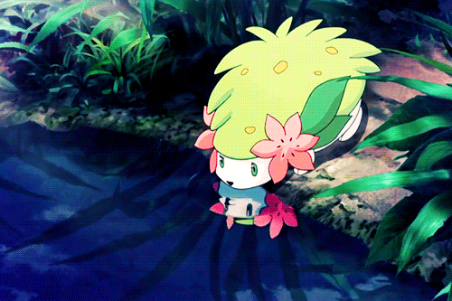Image result for Shaymin gif