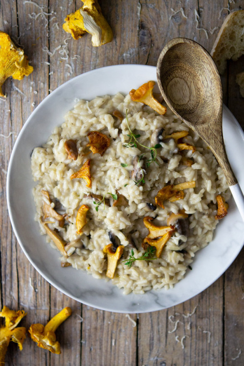toomanynoms - SUBMISSIONCreamy Mushroom Risotto...