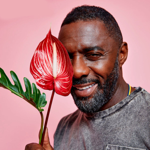erikslulbaby - supremeleaderkylorens - Idris Elba for...
