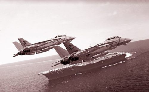 planesawesome - A section of U.S. Navy Grumman F-14A Tomcat...