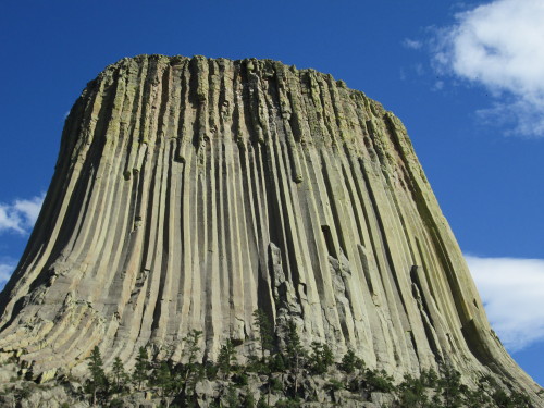 sixpenceee - Devil’s Tower in northeastern Wyoming is an igneous...