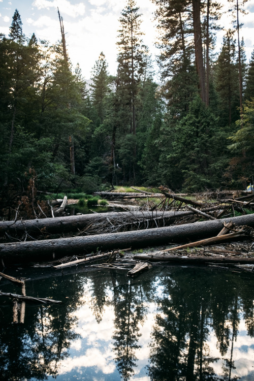 christophermfowler - Tenaya Creek | Yosemite, CA | September...