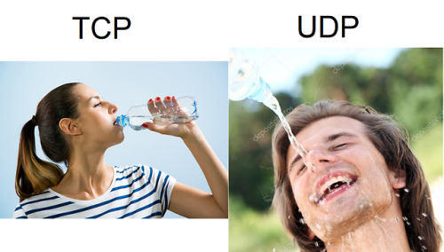 programmerhumour - TCP vs. UDP