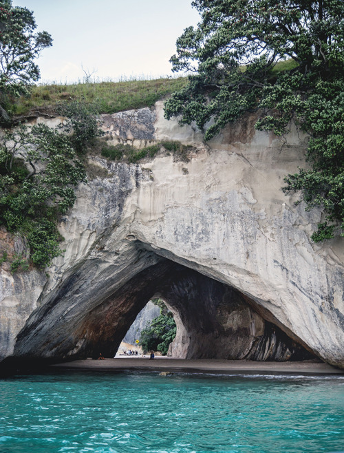 piavalesca:cathedral cove