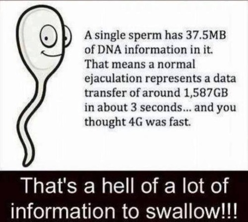 semenswallowing - My wife has swallowed terabytes!