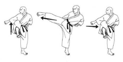 severelyfuturisticharmony - The Technique of KarateKarate (空手)...