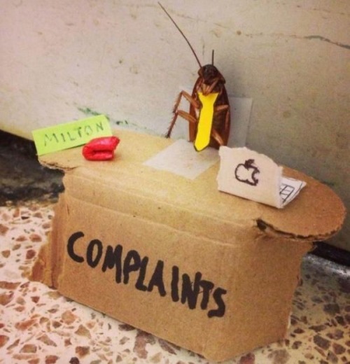 disgustinganimals - please don’t burn the place down. we just...