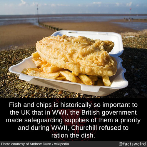 mindblowingfactz - Fish and chips is historically so important...