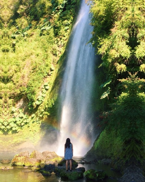 tocoihue waterfall, chile // ig. @isisilvach
