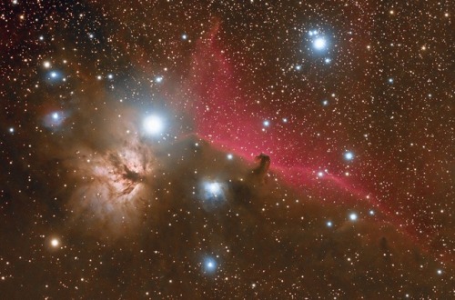 The Horsehead Nebula.Credit - Chad Quandt