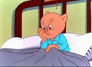 Image result for porky pig in bed