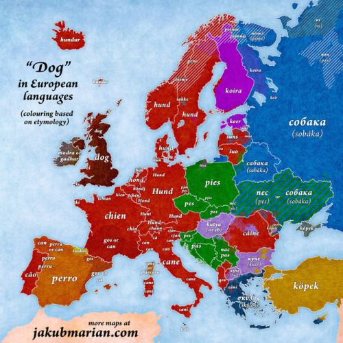 crypt-worm:mapsontheweb:“Dog“ in European languages.polish...