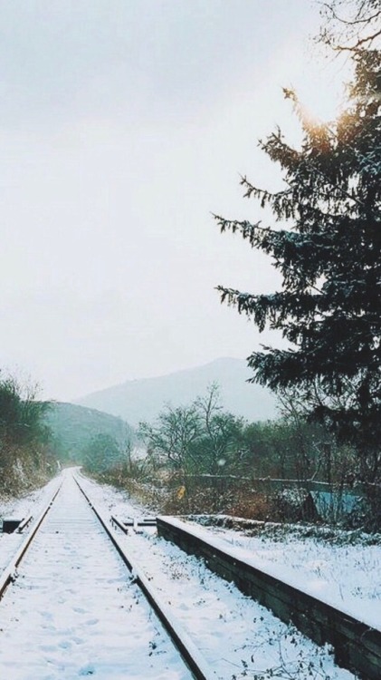Vlaková zastávka v horách Tumblr_ori4a0mEkm1w8xddpo1_500