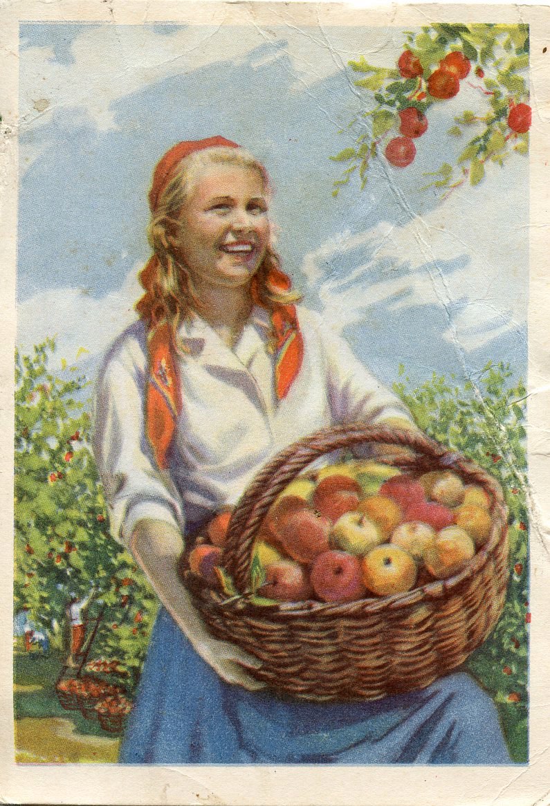 Postcard by V. Tishkin, 1955
