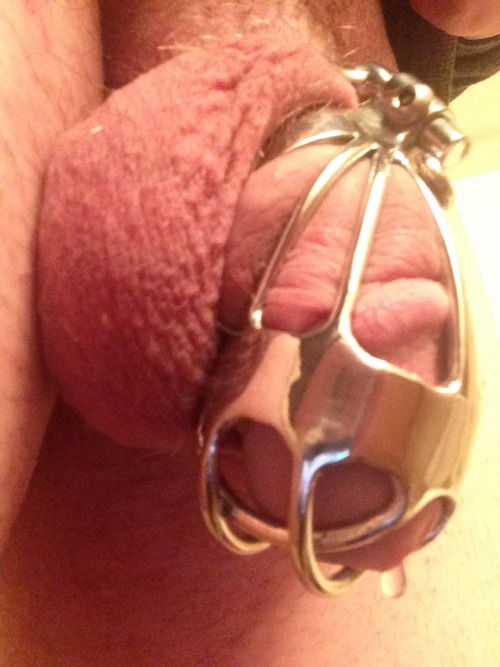 chantelle-summers - Me in my new watchful mistress chastity...