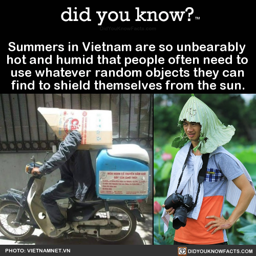 summers-in-vietnam-are-so-unbearably-hot-and