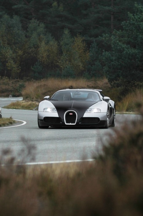 dreamer-garage - Bugatti Veyron (via)