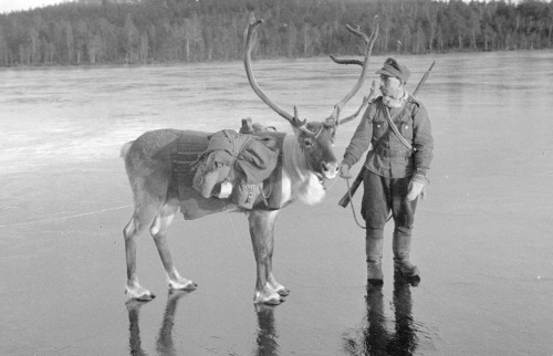 sateenkaari - An amazing set of photos of Finland in World War II.