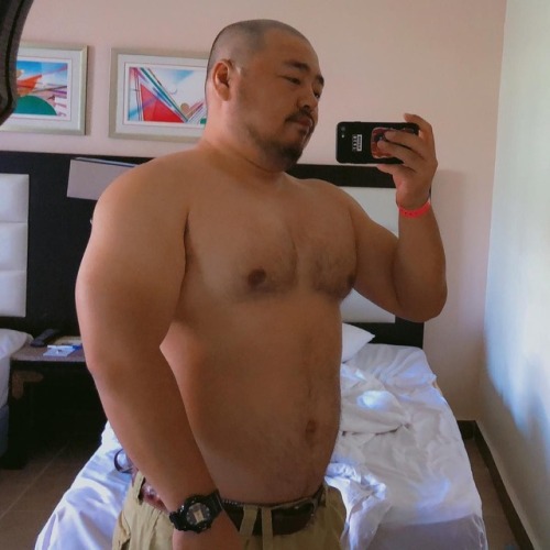 Asian bear&chubby