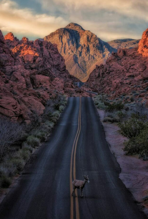 landscape-lunacy:Valley of Fire, Nevada - by Chris Ewen Crosby