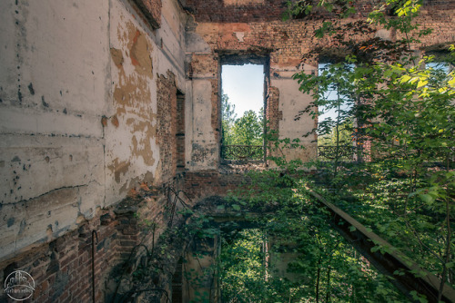 urbanrelicsphotography - RETURN OF THE KINGThis chateau was once...