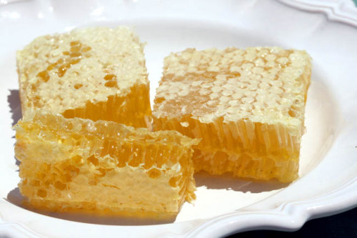 aradeia - Honey from Lugar do Olhar Feliz, southern Portugal.