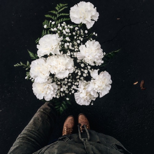 white carnation flower | Tumblr