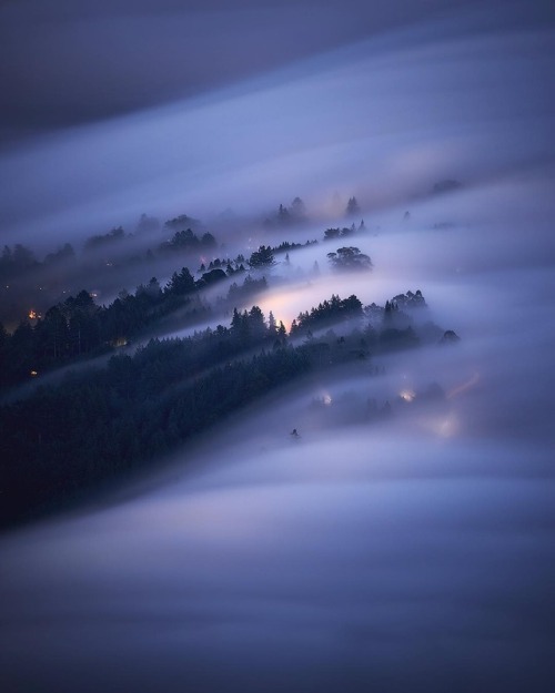 fifineller - Drifting into the Night by Michael Shainblum