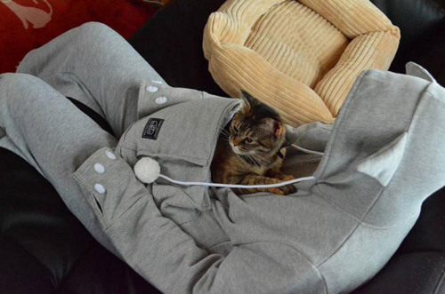 meowoofau - mewgaroo hoodieWith the approach of winter, we find...