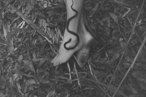 black-and-white - Snakes (by Lilli Waters)