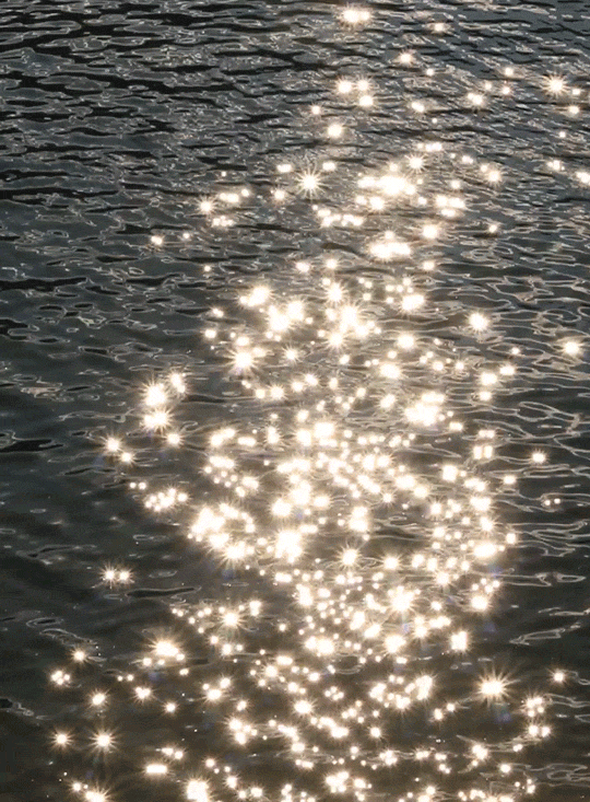 riverwindphotography:Singing to the Stars: Sunlight sparkles...