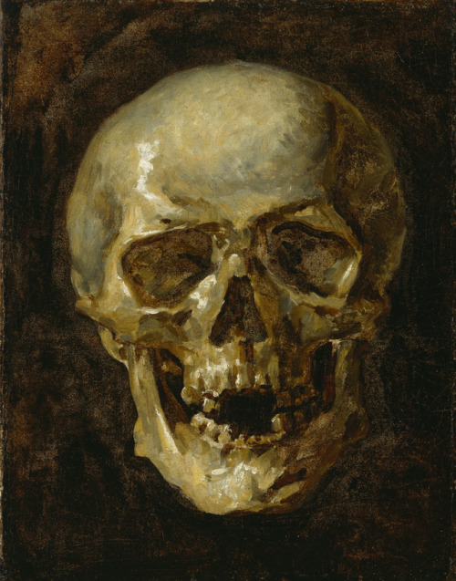 scribe4haxan:A Skull (19th Century / Oil on canvas) - Unknown...