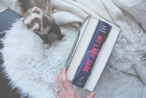 the-book-ferret:Is that a little FERRET on that book spine!?!